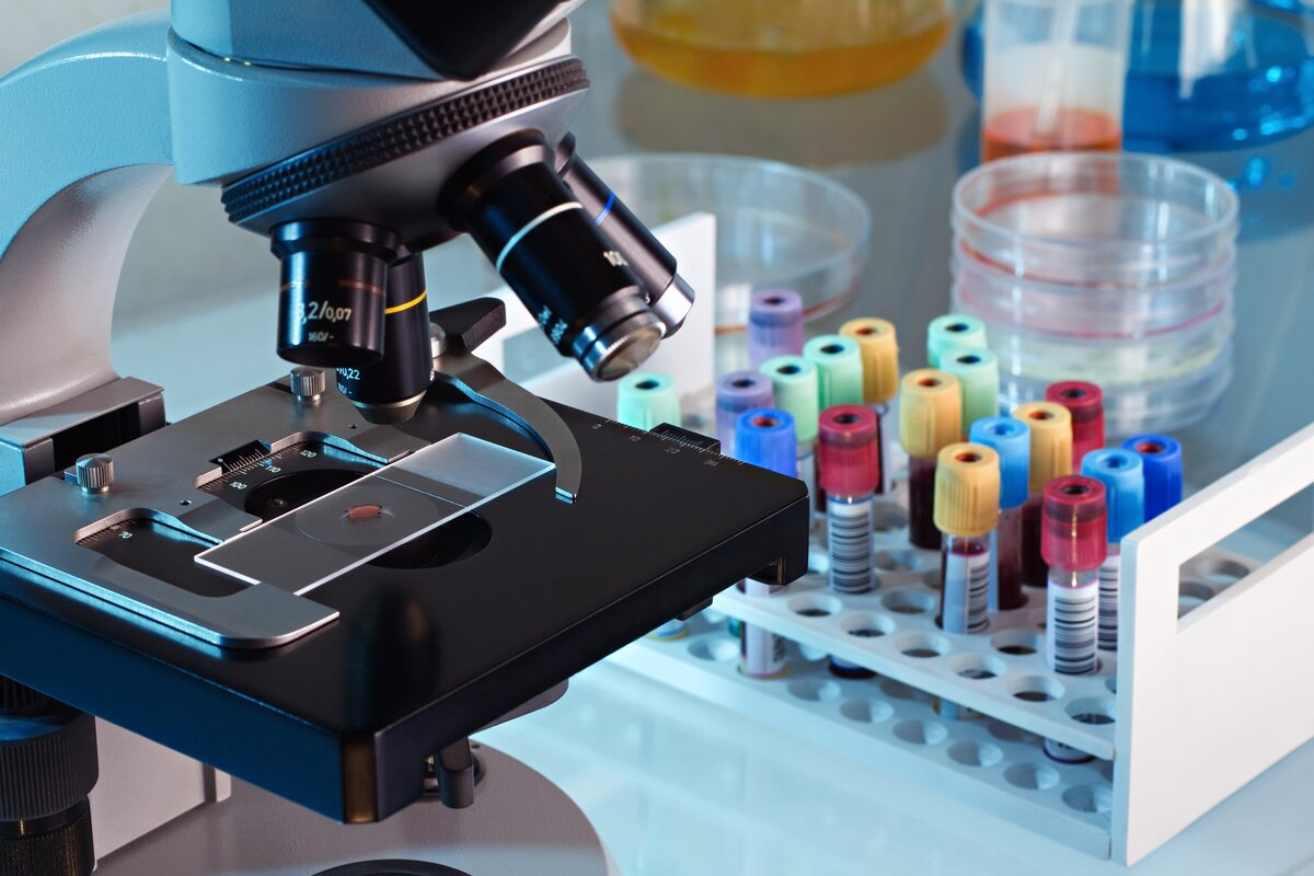 Применение электронной микроскопии для анализа биологических объектов  Электронная микроскопия - это мощный инструмент для исследования микроструктуры биологических объектов на уровне нанометров.