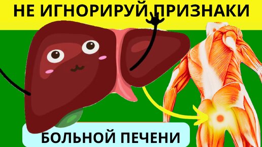 Эти Ранние Симптомы Могут Указывать на То, Что Ваша Печень Отмирает