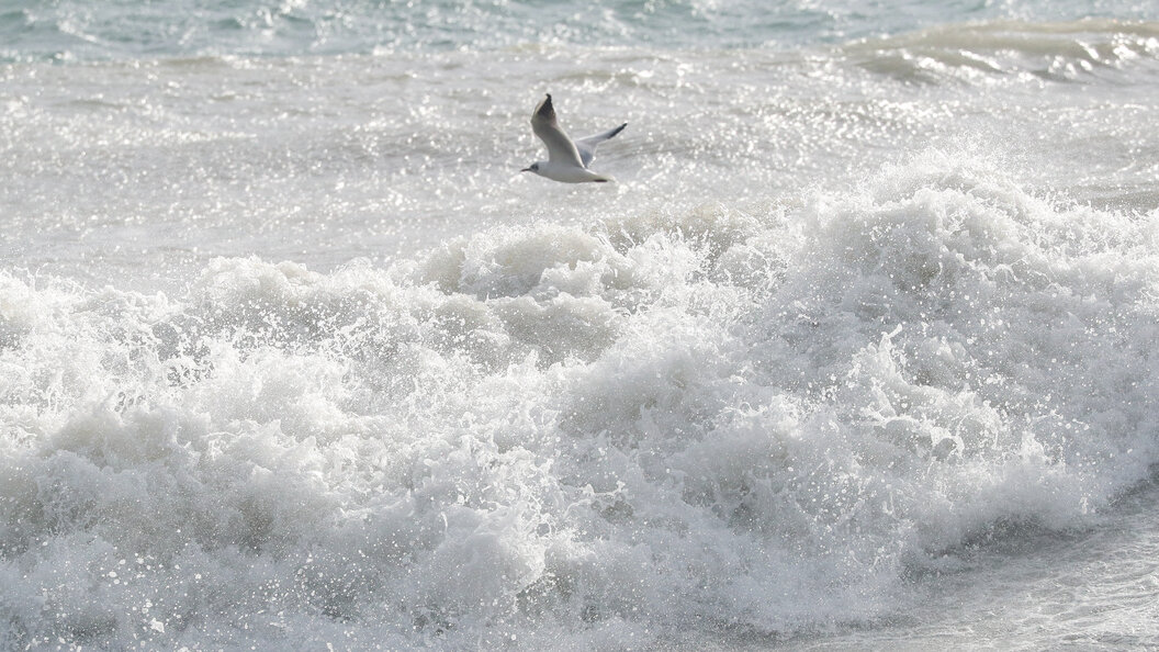    Фото: © Petrov Sergey/news.ru/Globallookpress