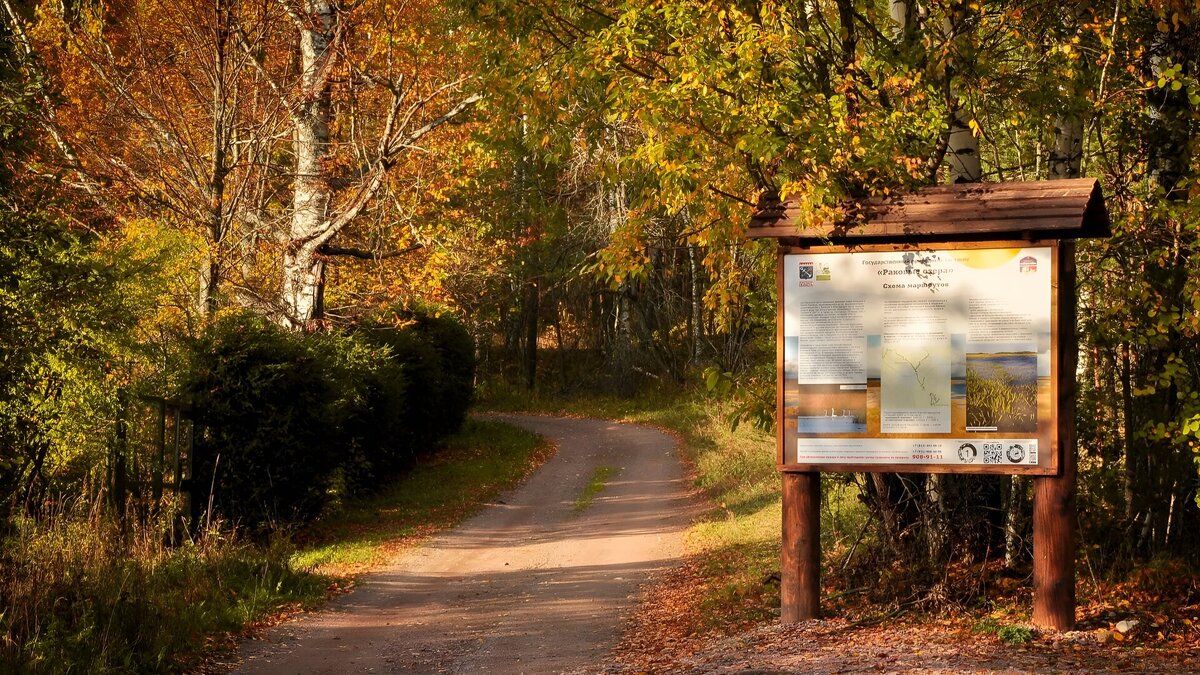 Ленинградская область, Выборгский район, Красносельское сельское поселение, территория Охотничье, экомаршрут Раковые Озёра