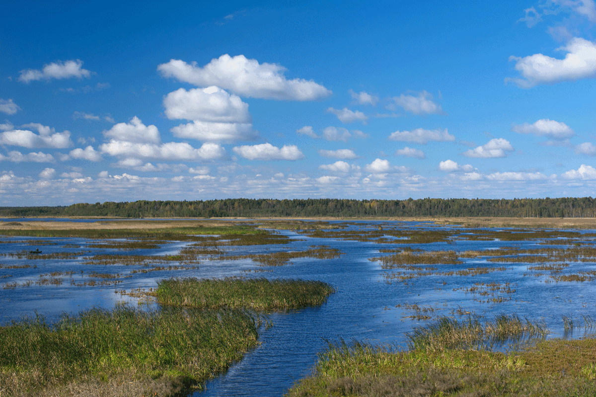 Ленинградская область, Выборгский район, Красносельское сельское поселение, территория Охотничье, экомаршрут Раковые Озёра