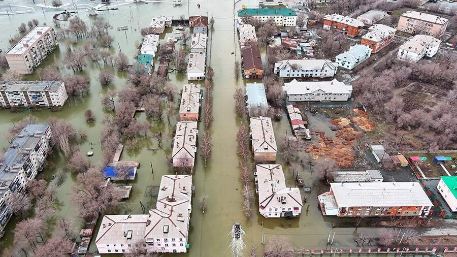 Фото: РИА Новости/Владимир Астапкович