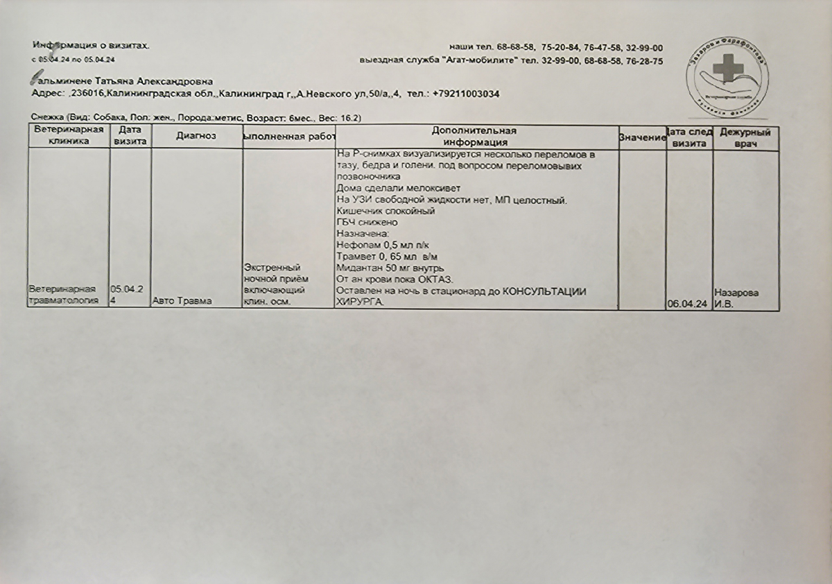 Выписка с первого экстренного приёма Снежки, чек - далее в галерее
