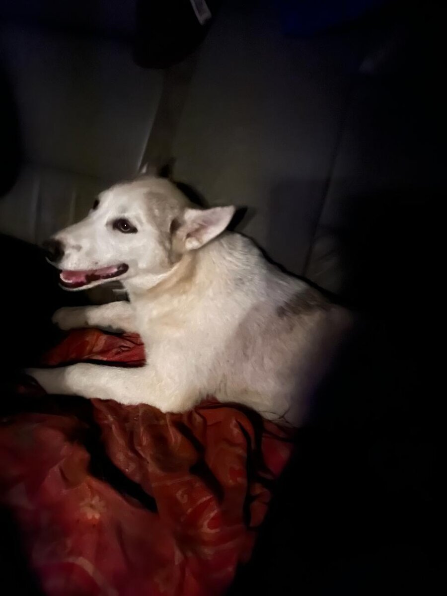 Фото по пути в клинику