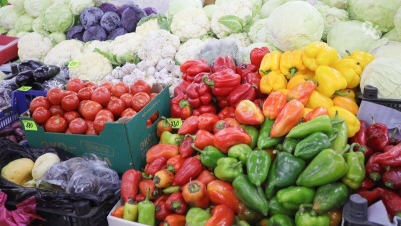      Фото: ИА «Победа26»