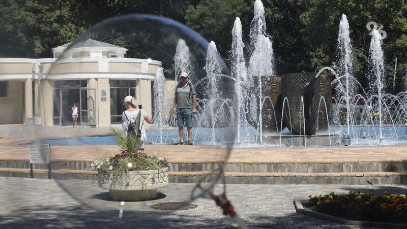      Фото: ИА «Победа26»