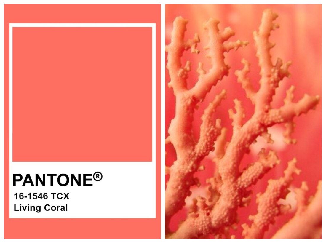 2. Living Coral Pantone.