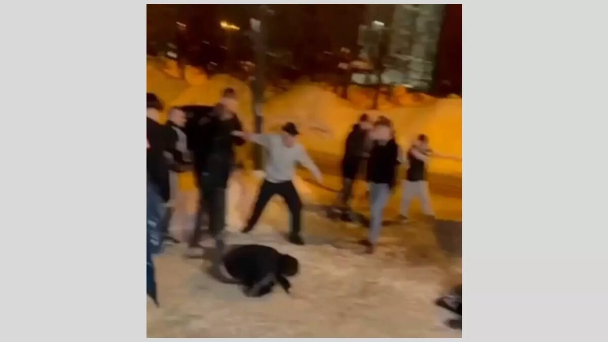     В Ижевске обнаружили группу подростков, которые на улицах избивают незнакомых молодых людей. О подобных фактах в своем телеграм-канале сообщила Директор Лиги безопасного интернета, член Общественной палаты России Екатерина Мизулина.