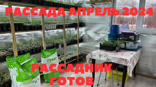 ОБЗОР МОЕГО РАССАДНИКА. ОБРАБОТКА САДА АПРЕЛЬ