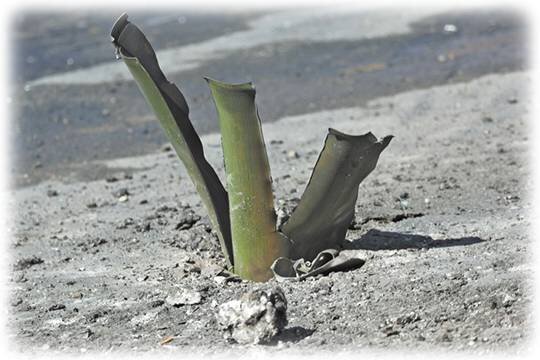    Минстрой признал Белгород городом, комфортным для жизни