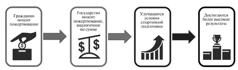 Схема поддержки спорта высших достижений через гранты