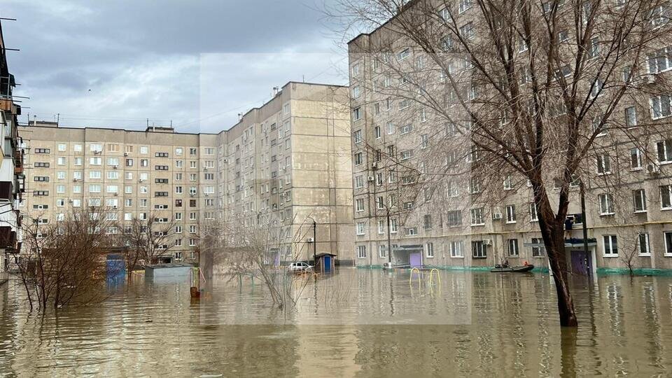 Фото: © РЕН ТВ