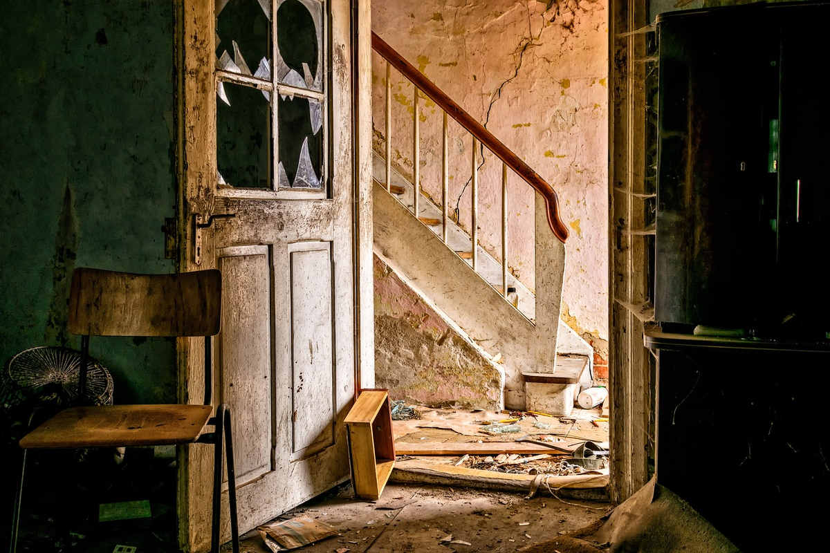 Фото: pixabay, Tama66