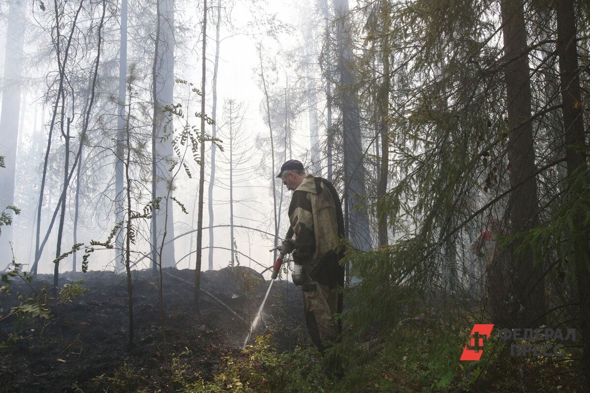 С 13 апреля в Екатеринбурге введут особый режим.  Фото: ФедералПресс / Ольга Юшкова
