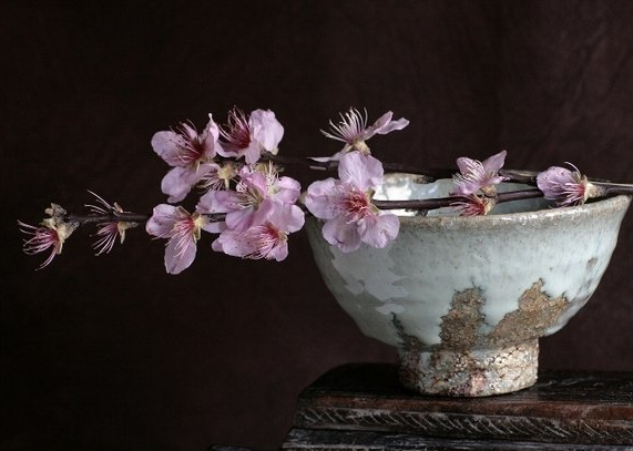 Несовершенство этой чаши лишь подчеркивает красоту цветка, не находите?