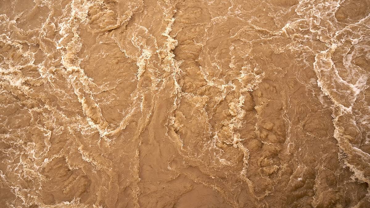    Фото: Unsplash