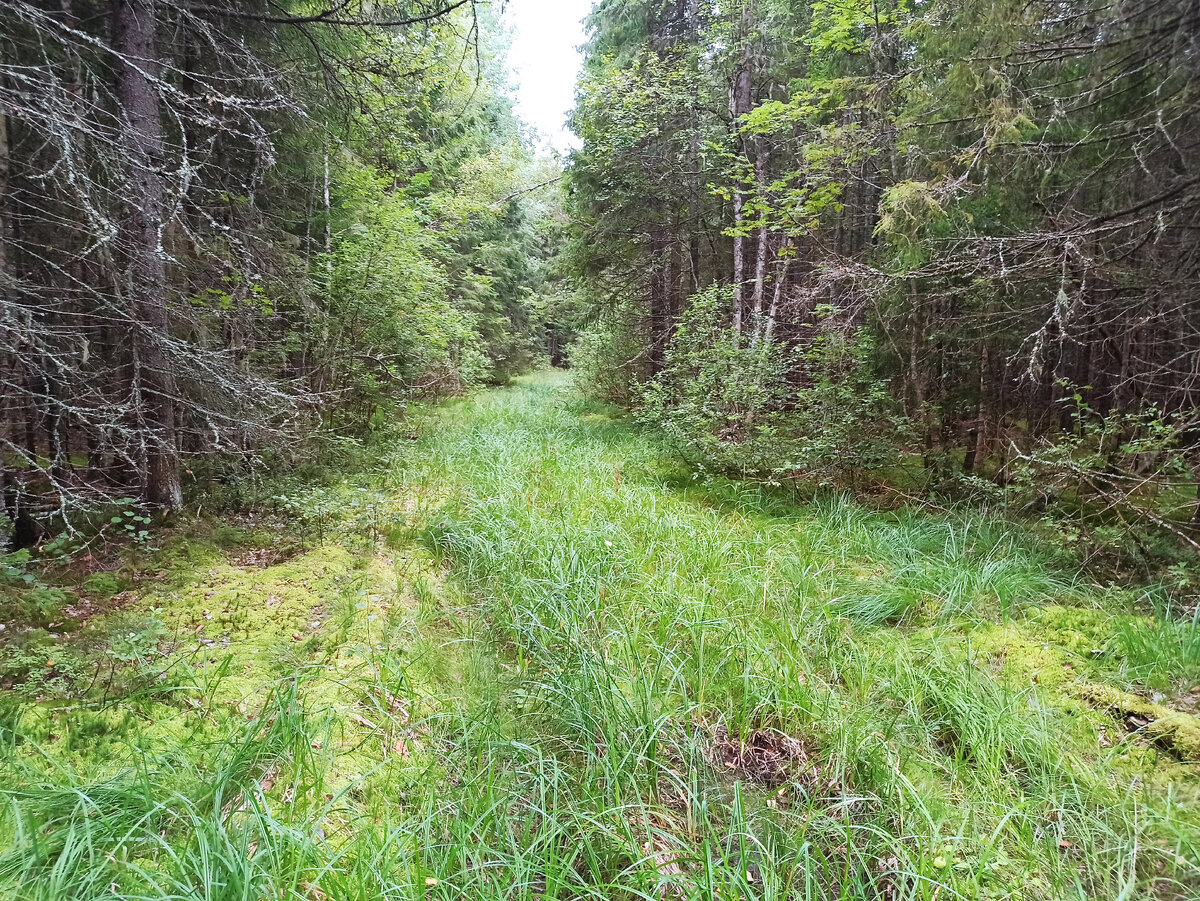 Фотография, сделана по пути обратно. Мне туда - там УАЗик стоит.