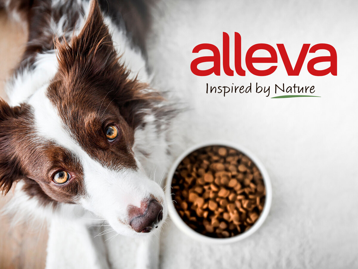 Редактировать галереюДобавьте описание