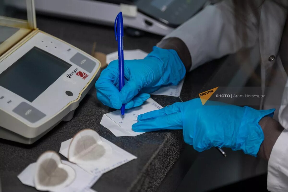 © Sputnik / Aram Nersesyan