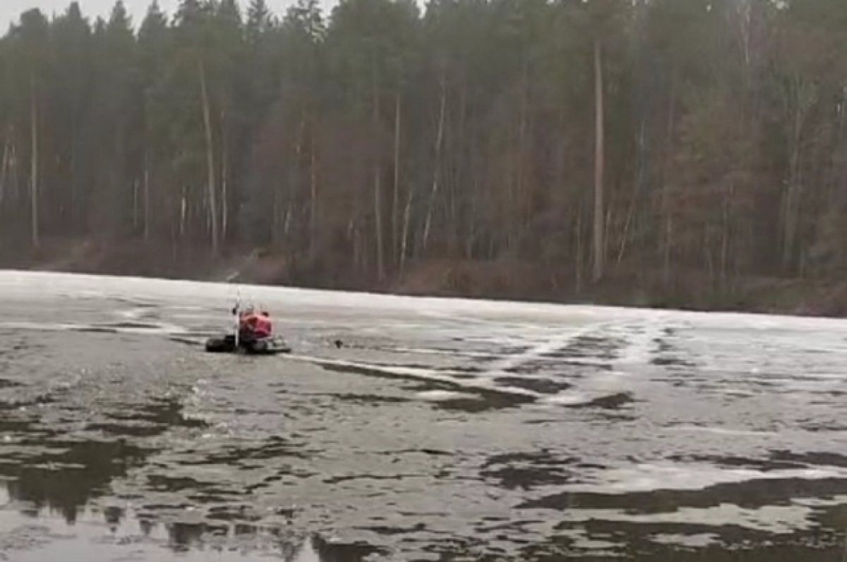    В Заречном из воды спасли провалившуюся под лед собаку