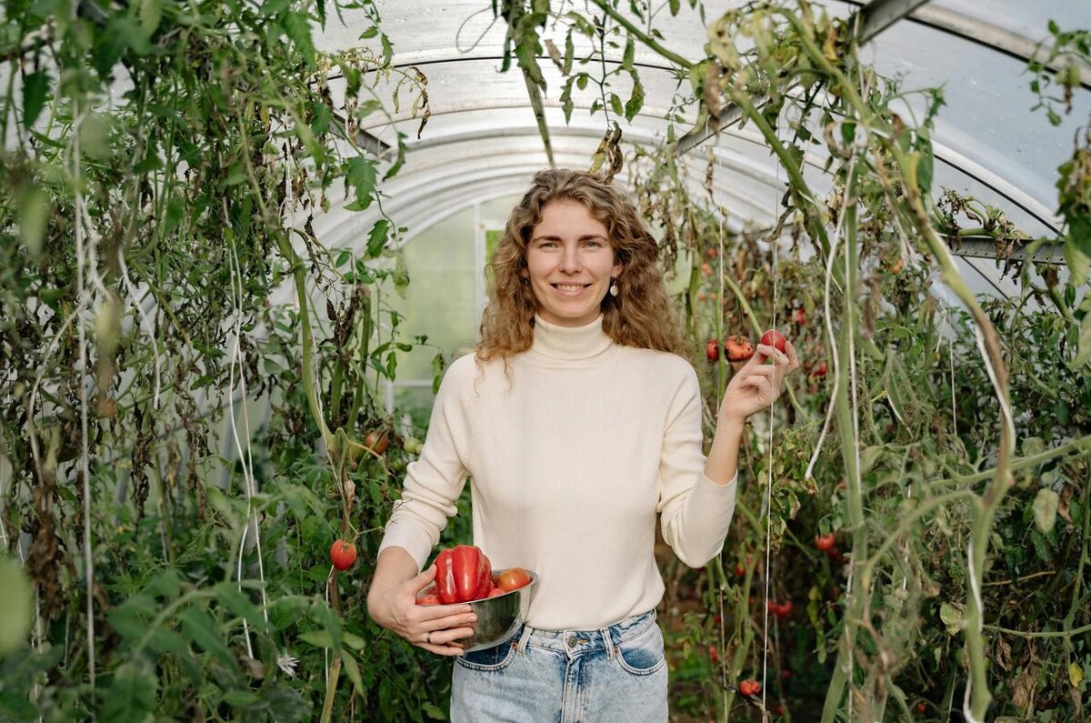 Shutterstock📷Не всем растениям нужны большие и высокие теплицы, для низкорослых культур подойдут компактные постройки