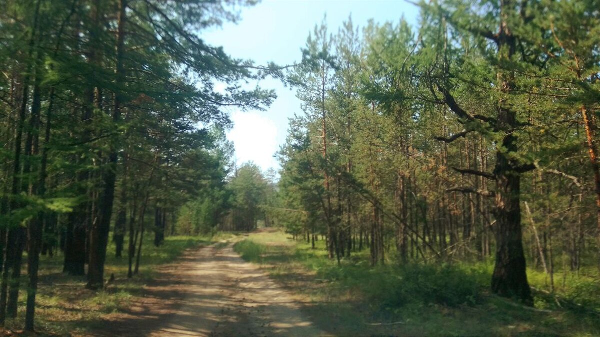 Фото без ям, там, где ямы, я держалась за все вокруг, не до фото было