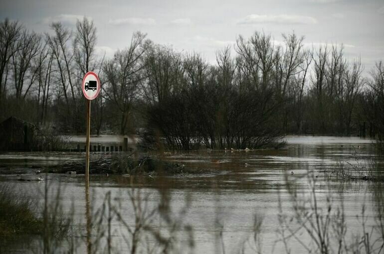   Владимир Астапкович / РИА Новости