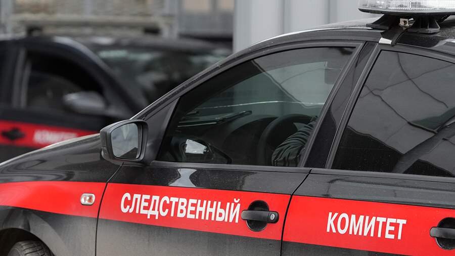 Фото: ИЗВЕСТИЯ/Дмитрий Коротаев