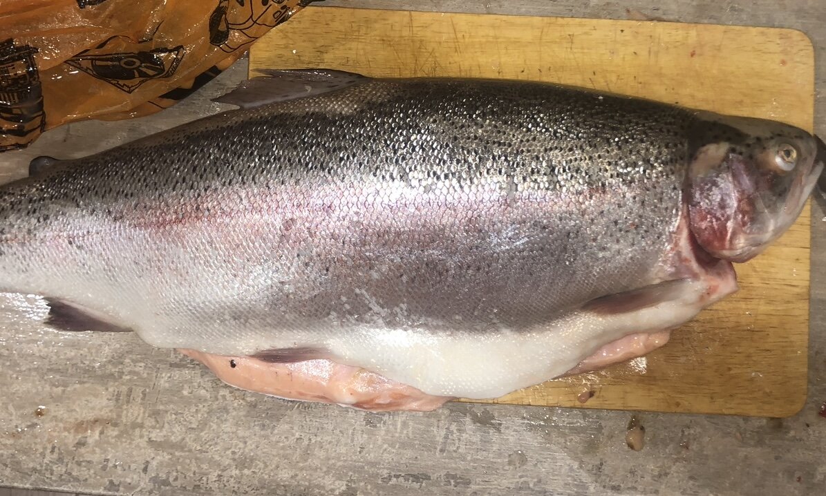 Беру обычно целую рыбу - часть на засолку для завтраков, часть для полноценного белка на ужин