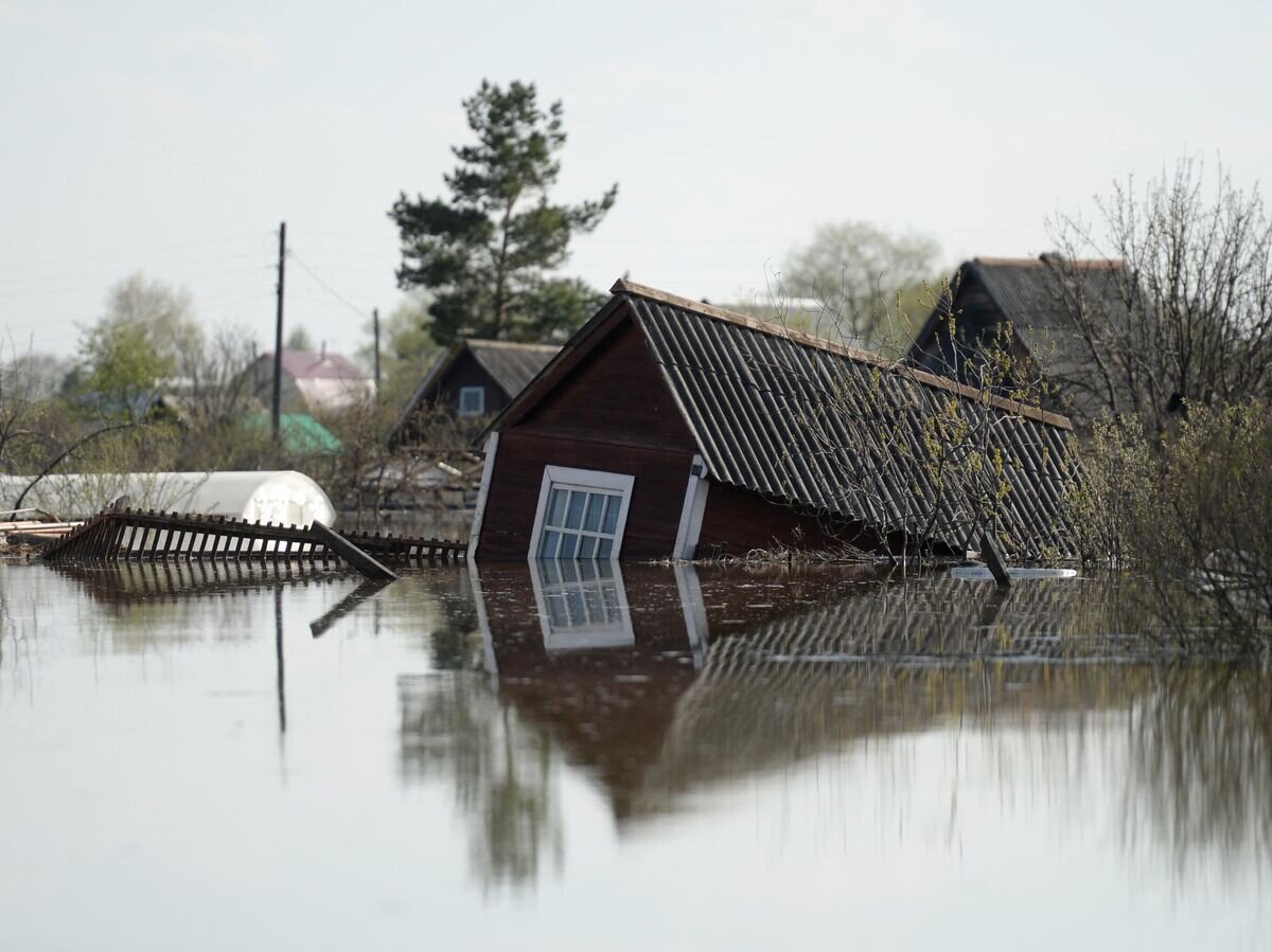    Частный дом в городе Ишим Тюменской области, подтопленный в результате сильного поднятия воды в реках Ишим и Карасуль© РИА Новости / Алексей Мальгавко