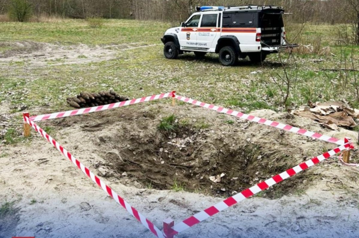    В лесах Мечниково и Павлово обнаружили 69 взрывоопасных предметов за неделю