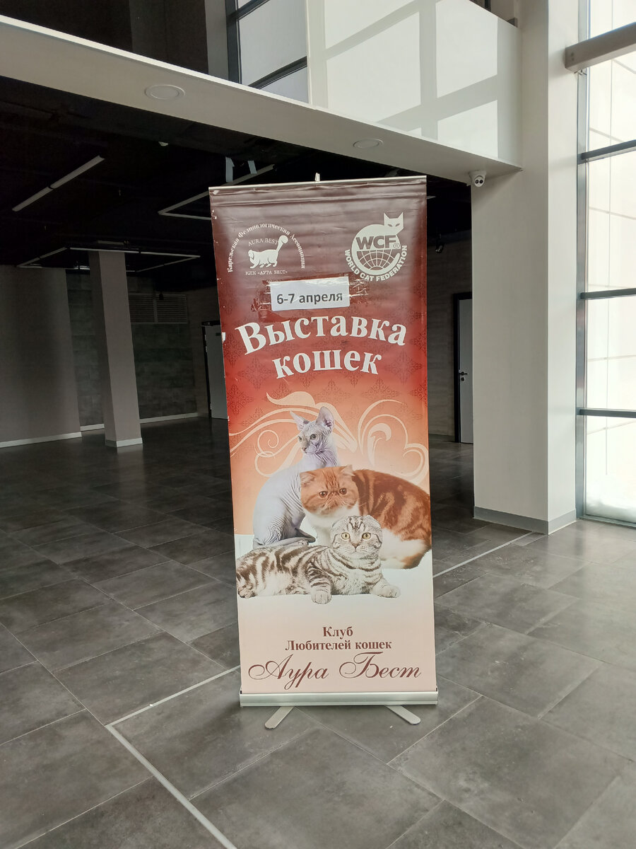 фото автора, баннер в фойе на выставке кошек
