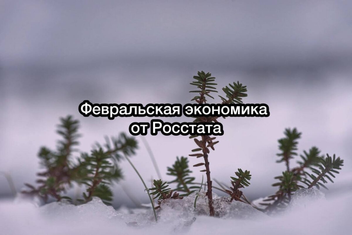Данные Росстата