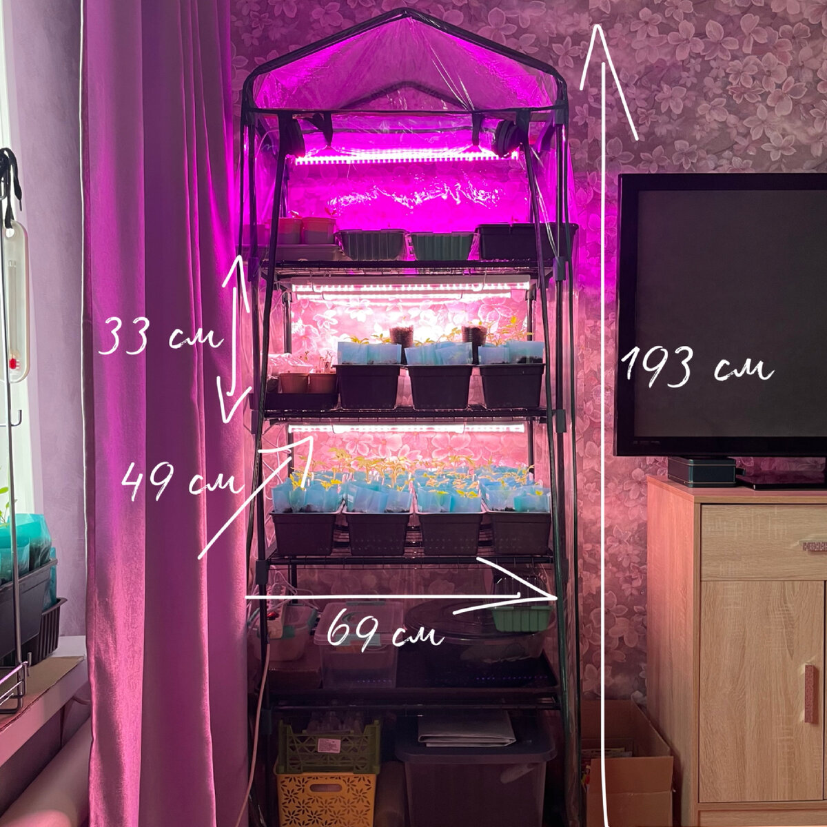 Фото автора. Парник-стеллаж для рассады. Пришлось на время тумбу под телевизор убрать, а сам телевизор поставить на комод. 