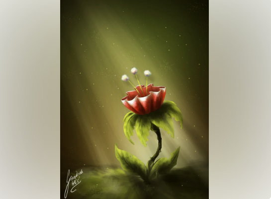 Фото взято из свободных источников.