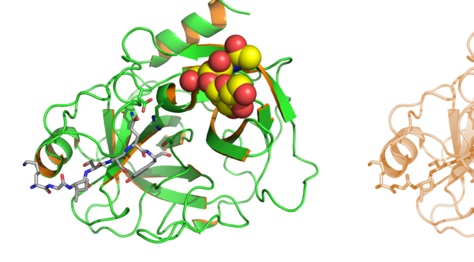   E A S / Wikipedia Commons / CC BY-SA 3.0 DEED