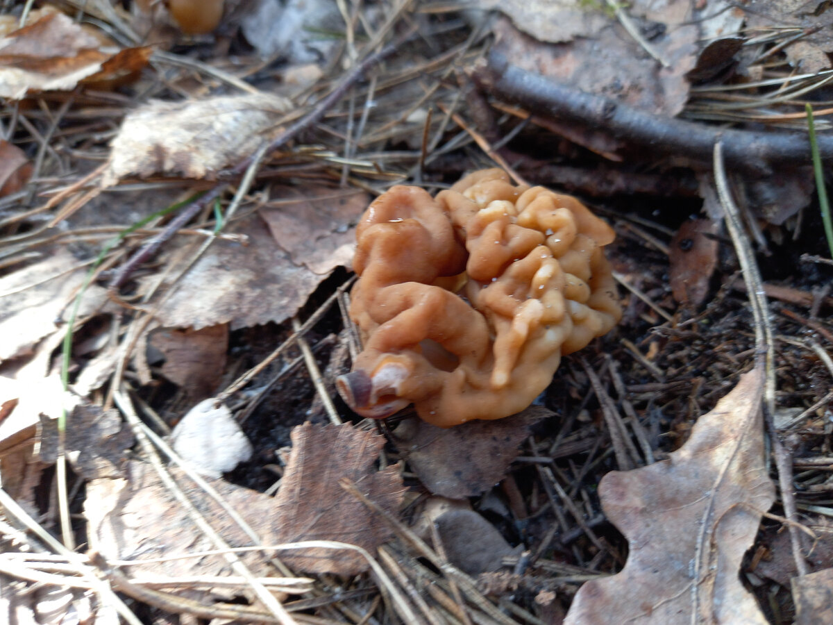 Фото автора 31.03.2024 г.