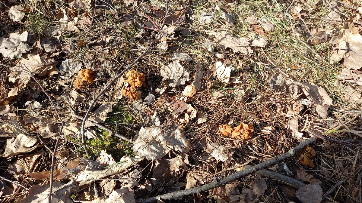 Фото автора. Первые строчки 2024 года.