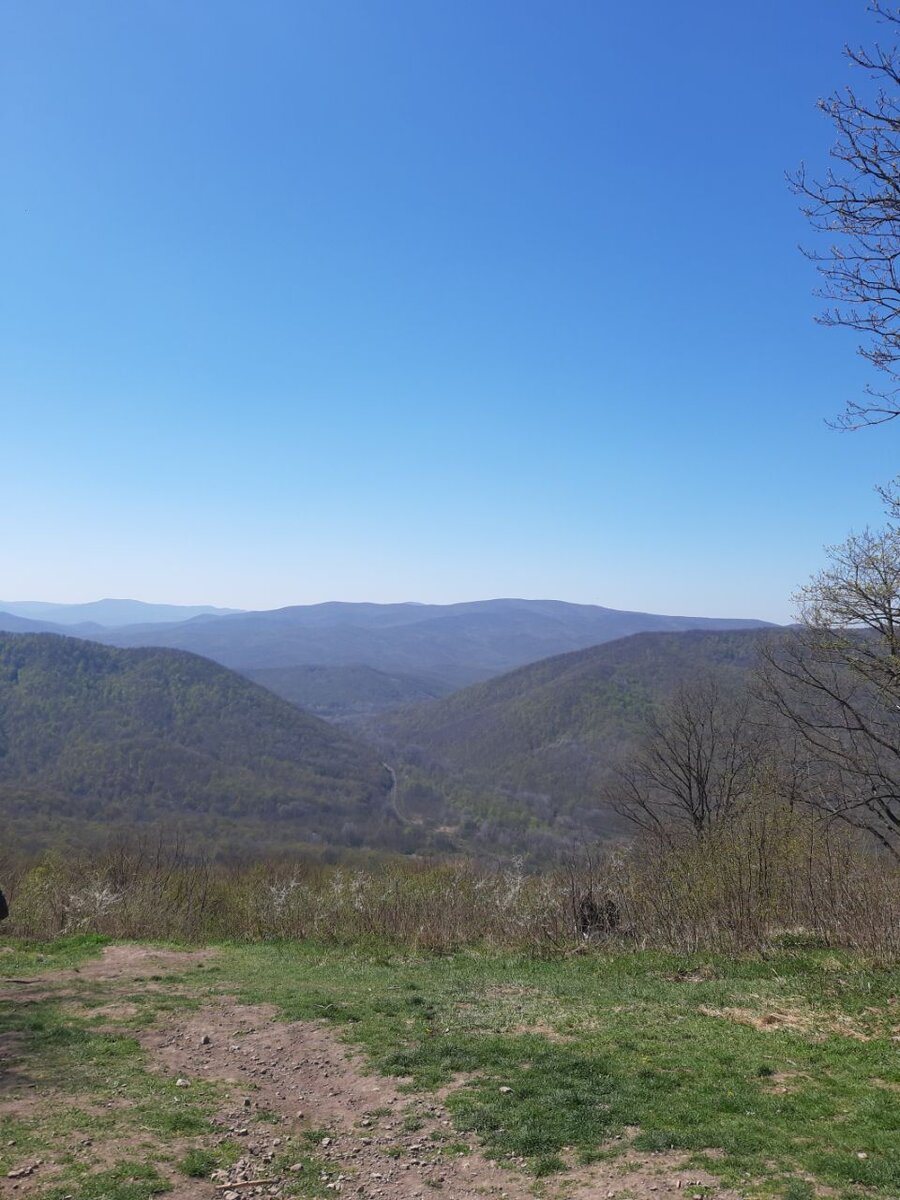 Вид со смотровой площадки