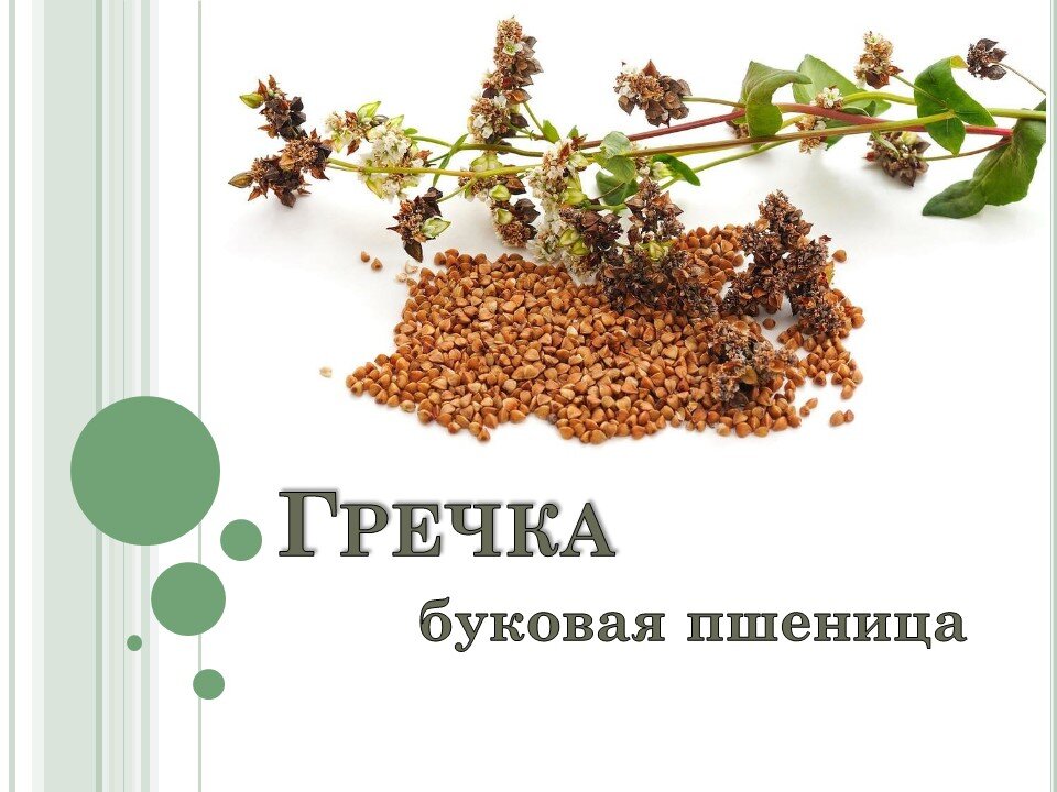 коллаж собственность канала