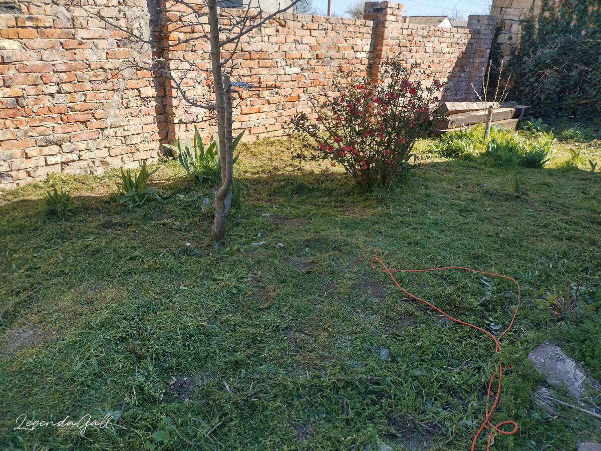 Как хорошо, когда чистенько