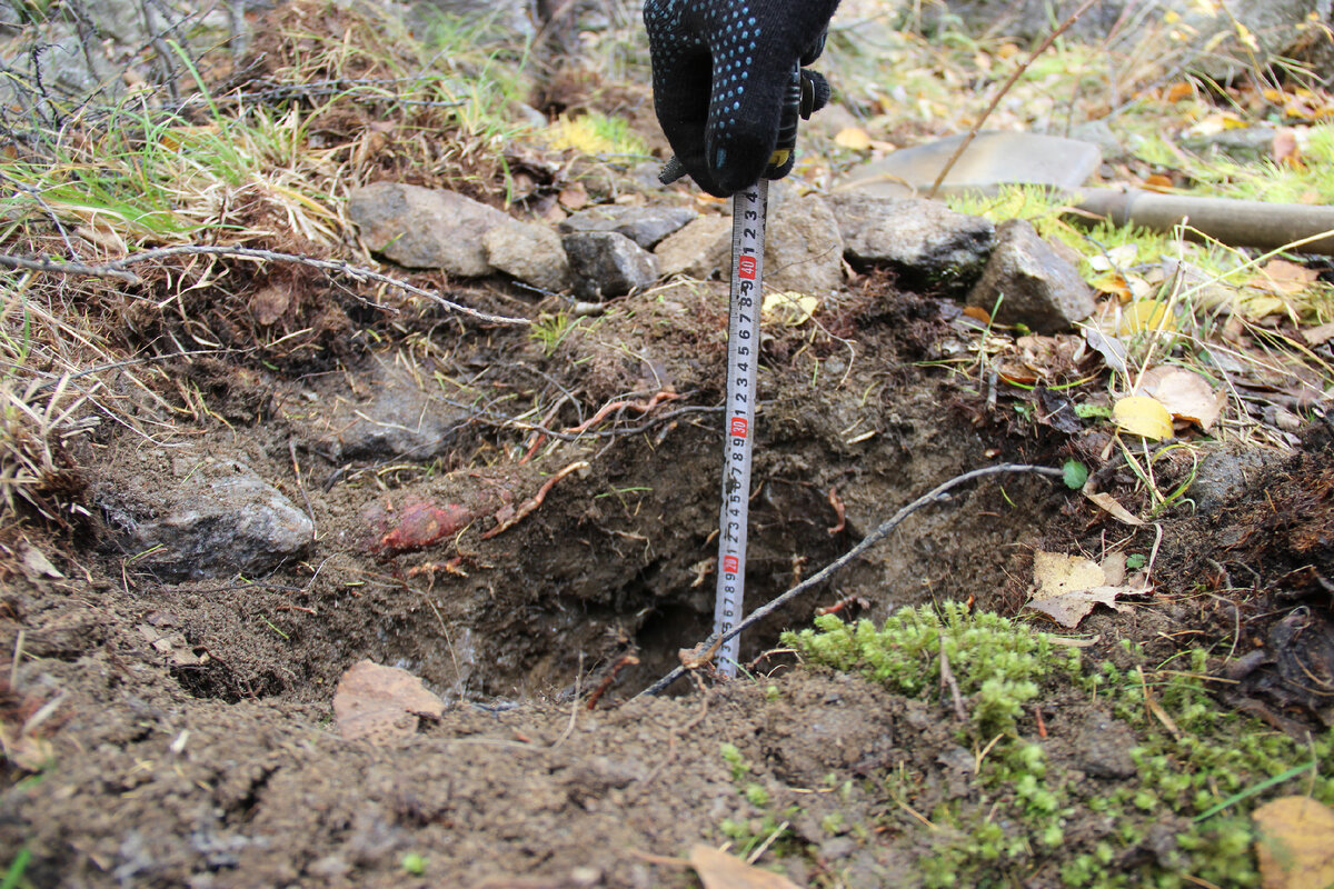 Рисунок 1. Шурф на верхнем уступе карьера в п. Буровщина глубиной 30 см