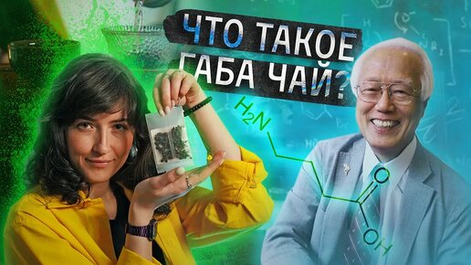 Габа чай? Свойства, эффект, история. Как заваривать? | Чайная мастерская — лучший китайский чай