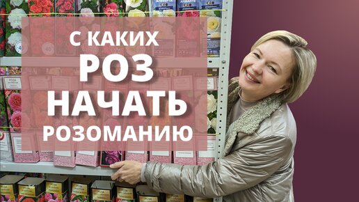 ПОСАДИТЬ И ЗАБЫТЬ! Просто, о группах роз для новичков.