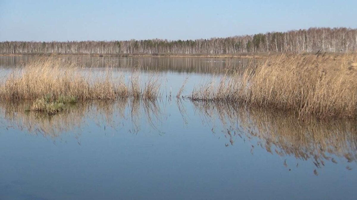    Озеро Молтаево. Современный вид stalker