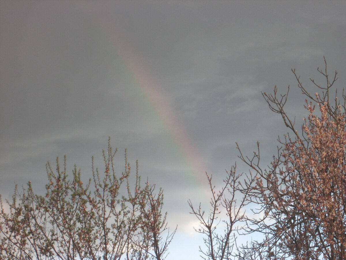 Гроза, фото из архива автора, 2 апреля 2022 года, долина Сунгурларе, Болгария