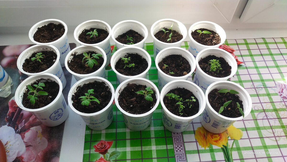 Фото от 18 марта 2024 года. 