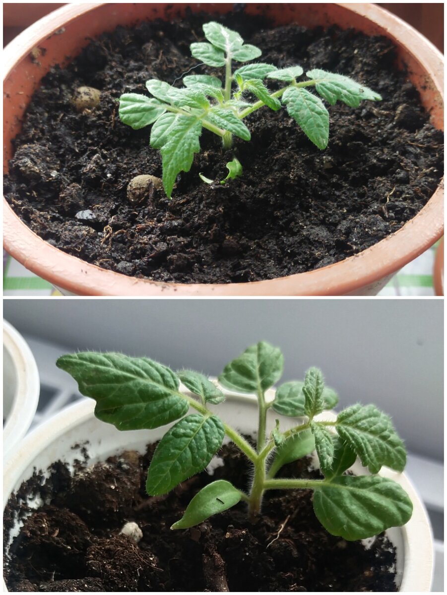 Фото от 25 марта 2024 года. 