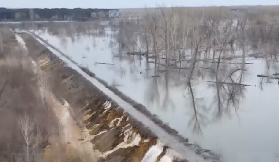 Дамбу прорвало из за грызунов