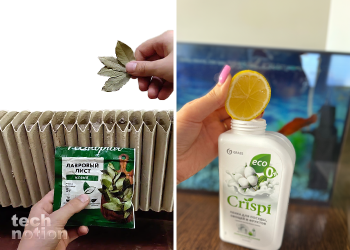 Для чего лавровый лист класть на батарею, а сок лимона в гель для посуды / Изображение: дзен-канал technotion